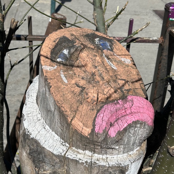 Meet your Posher, Kate - Picture 1 of 1